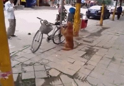 0b5a7ac6fdce8e6933869e01115b211b_1630941086_4979.gif