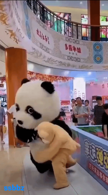 1a1fffd3493cc7f57e4983c3000141ab_1631923287_9856.gif