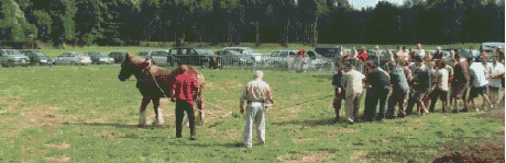 1a7d24795b710b5137d09da333a0769f_1631977778_7772.gif