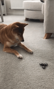 4c4d2794b4847b4530616291a598249e_1631200033_6541.gif