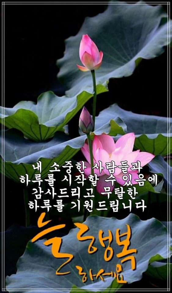 4c7335beea77cf176cd75c21cff5a8cf_1632701324_9289.jpg