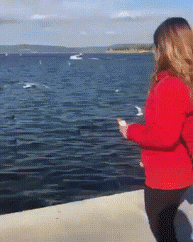 5c62a8e92af5c2b28e33631a026626d8_1632796172_6258.gif