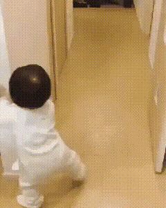 5d46eb925a765b0f485fcbe24bacafd7_1630471122_0685.gif