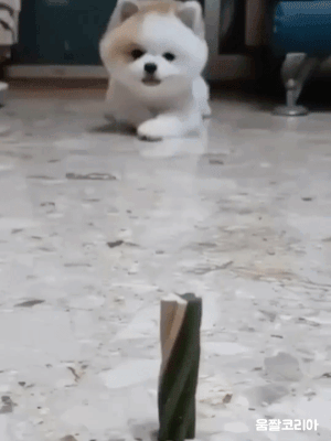64ca4246c07ed10eb05f1a2bcb3d2446_1631568463_3807.gif