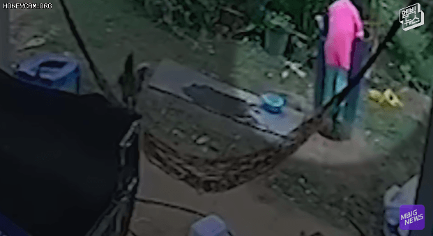 672cb5824748cfceccd005a9c54113a4_1632960797_2868.gif