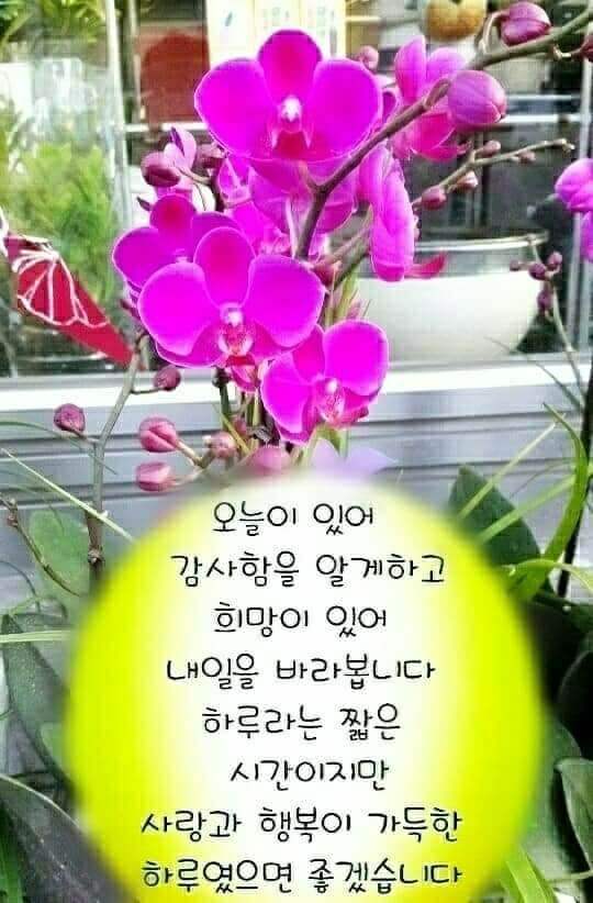 83e130dacc37e2add8c482f438047543_1632602489_6873.jpg