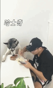 a83b2e6f07a5c50bce34bbf6c376d8ee_1631831375_4473.gif