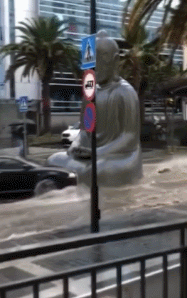 a83fdd3237f2c0f03b3e38237903203c_1631748461_3214.gif