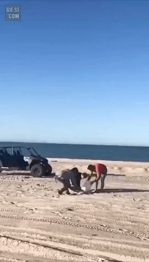 aa0ac96b441fe8bf43cef3cb867d6adf_1632885752_7247.gif