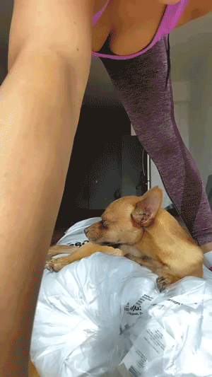 d9ee2acd1cdd1bc3c961c7f103a4639c_1632722274_3135.gif