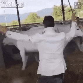 ef1391c90d75d429f4e5f0c4469948af_1631458617_3912.gif