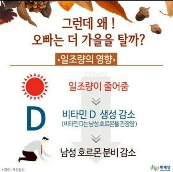 08587cf8fcff962c71120fb7085128fb_1632095252_0016.jpg