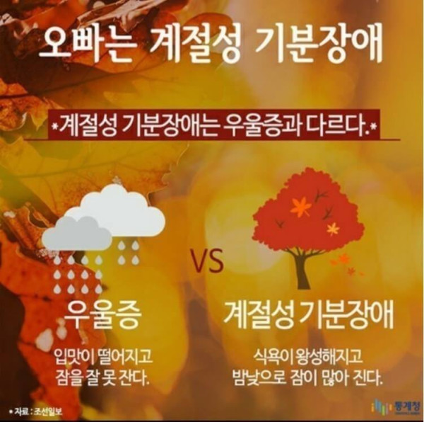08587cf8fcff962c71120fb7085128fb_1632095252_1095.jpg