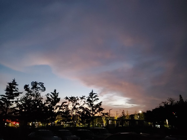 295cdcded399d0a71da7071b44ccd3bb_1631573315_6947.jpg