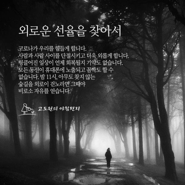 491959351f3ac5ed060b4fdb4d6b7d6e_1631828301_364.png