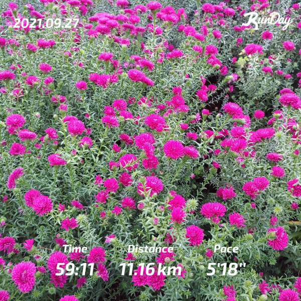 5ae2b1a79e1df876d329306f8dbcc1ce_1632697334_795.jpg