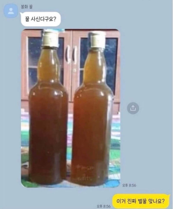 8f9061dd5d2fd40f4184e296fa05dc20_1632298549_4057.jpeg