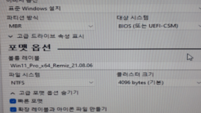 Win11_21H2(22000.120)_Pro_x64_Remiz_21.08.06 저사양 컴에 설치  입니다