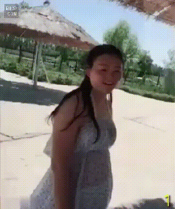 049b884ac0c0820e2ca70900257d2549_1634335376_8053.gif