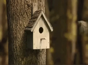2477cd5c156da6713a7d8c8a2157a58c_1635520808_3517.gif