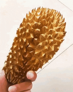 4e0e04eb9ffdbe00834a41094d16aa0e_1635481464_3526.gif