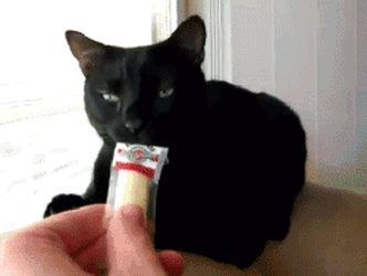 4e0e04eb9ffdbe00834a41094d16aa0e_1635481474_4769.gif