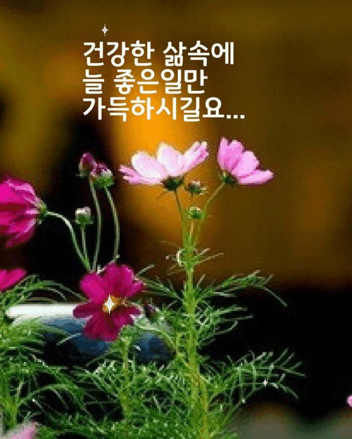 5ac11c7bb1227f807dd170ad6743e25b_1634243398_9576.gif