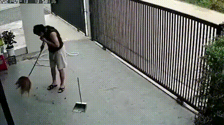 5f2e3f44107c374376c2734934a195a4_1633348277_2279.gif