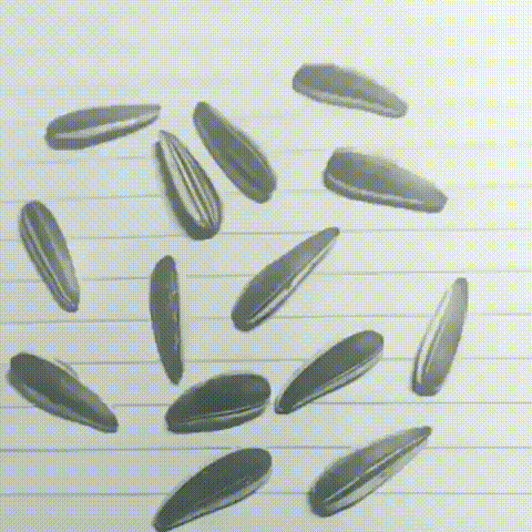 6e3b5283b8bbc4452bf8b089e98de5fb_1634508423_2662.gif