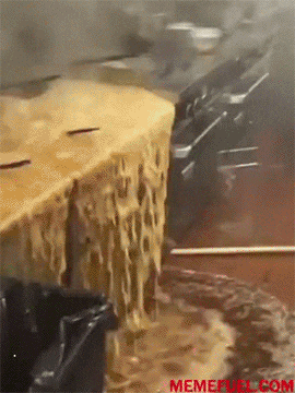 9e9eb11ae008de8911b0c98092d50663_1633573366_8468.gif