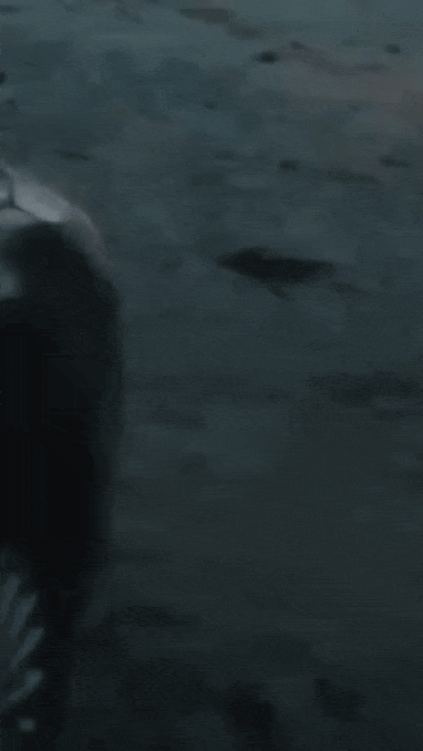 9e9eb11ae008de8911b0c98092d50663_1633575292_3909.gif