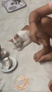 a3c3b62aee9fbd282aa6719ec9033f16_1634113817_152.gif