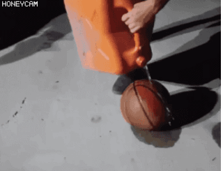 d5c19a4e865931de7d22350edc92daa5_1633600690_3058.gif