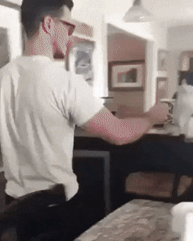 d5c19a4e865931de7d22350edc92daa5_1633603775_3639.gif