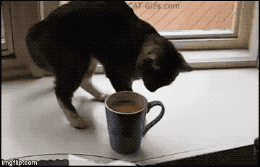 d5c19a4e865931de7d22350edc92daa5_1633603775_4283.gif