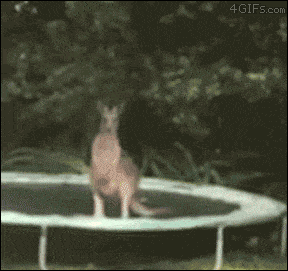 f0df32660fae1c61c0e562f1b8dc7004_1634051396_0228.gif