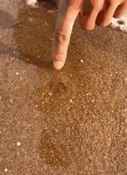f9d433ba9b30fe8a77b492f73aa1c123_1635144406_9145.gif