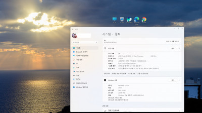 Win11 21H2(22000.194) Pro 후기