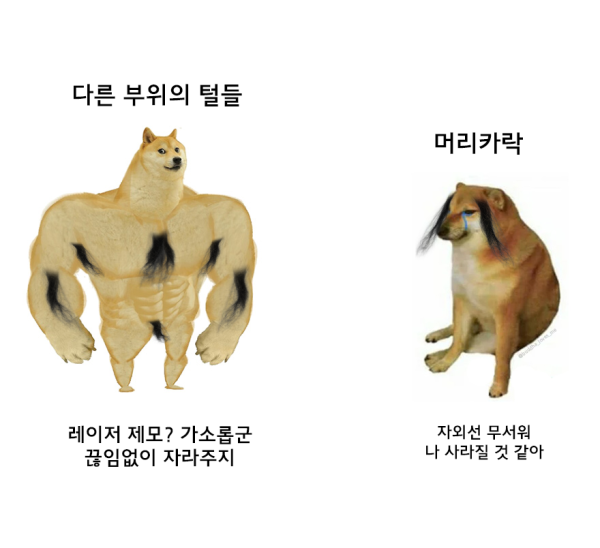80595631cfa8d4892827d306d4dc2d43_1634103997_0353.png