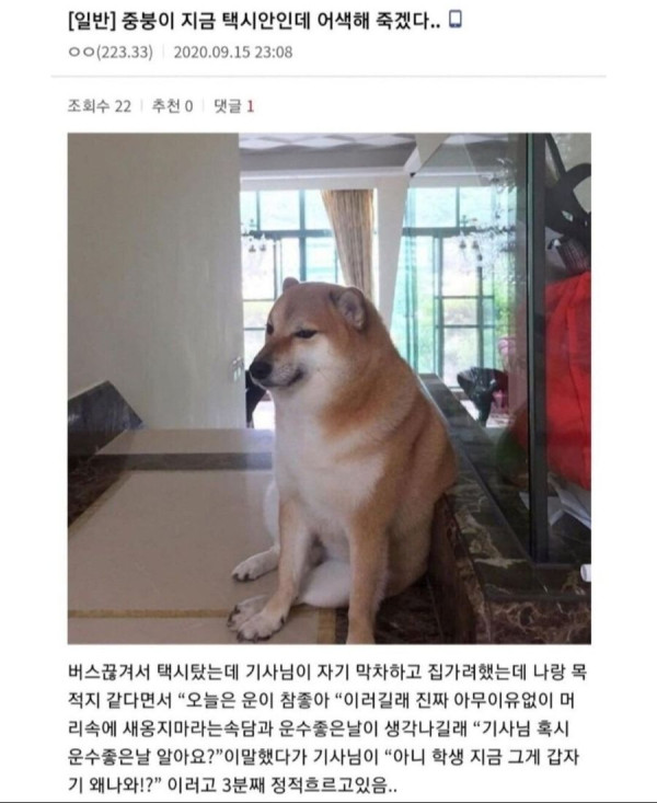 95a140e5ac47e5d2b6a794d74eeb63c6_1633855259_5047.jpeg