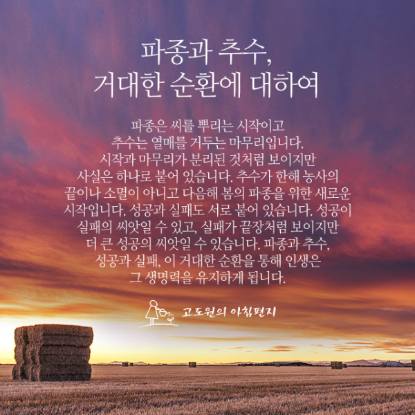 bbd7bfb30145185381012d13bb2074dd_1634749353_0876.png