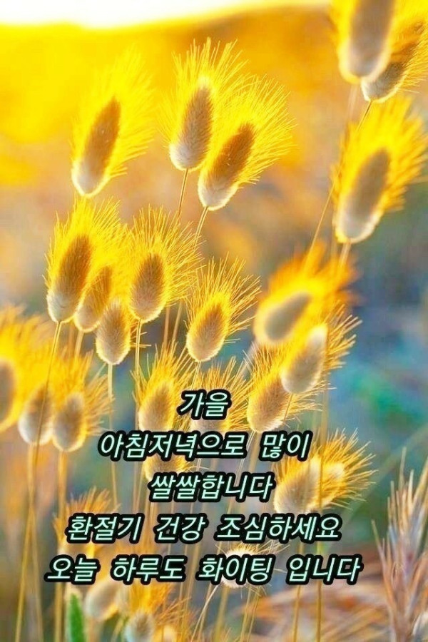e2b7bbbb5fe0930b787cedb5059ae8aa_1634161185_6157.jpg