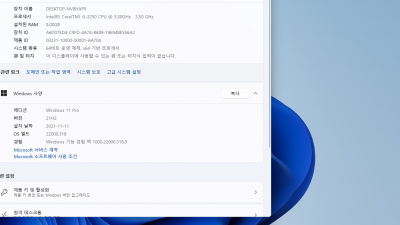 win-11-21-h-2-22000.194-pro-2in-1-x-64-remiz-21.10.06 하루후기