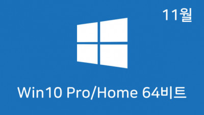 [11월] Win10 21H2(19044.1348) 4in1(Pro,Home) 64비트