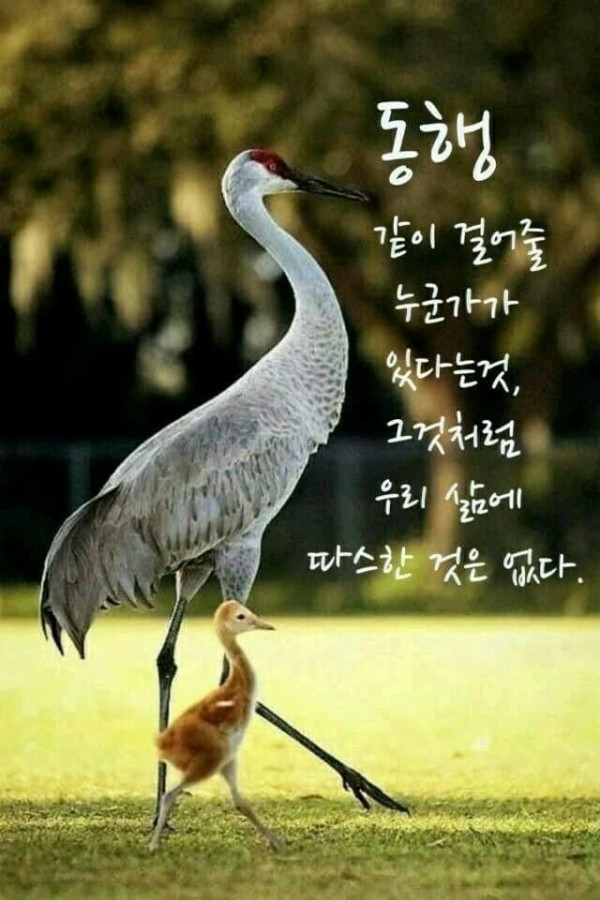 f81fdba13c99e62a06aace2dfc1b3b37_1636071971_1823.jpg