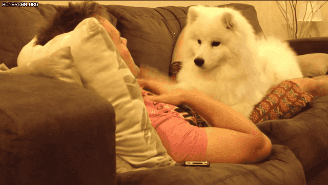 4cdd6cc3b393e03bff733b4746e0eceb_1638427655_6442.gif