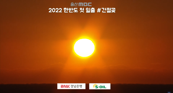901fa379312e103523568fb2db1af62e_1640990967_9479.png