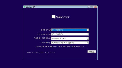 Win10 21H2(빌드19044.1466) 4in1(Pro,Home)_x64_220117_VMware player 설치 예