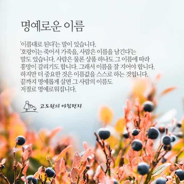 7361da74315bcc9baf2dd45063752471_1644518302_5757.png
