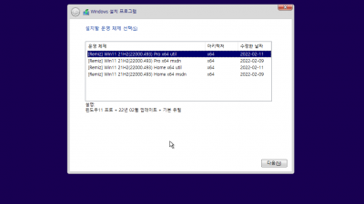 ([02월] Win11 21H2(22000.493) Pro/Home 64비트) 설치 후기